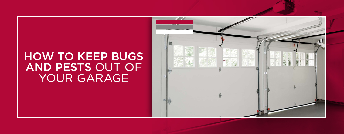 https://www.qualityoverheaddoor.com/content/uploads/2017/05/1-How-to-Keep-Bugs-and-Pests-out-of-Your-Garage.jpg